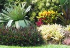Dalmabali-style-landscaping-6old.jpg; ?>